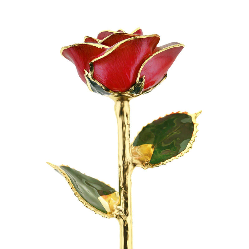 24K Gold Dipped Roses